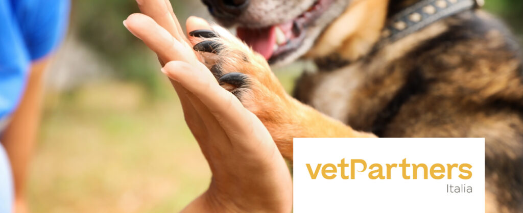 Primo piano di un cane che dà il cinque a una persona, entrambi felici. Il logo VetPartners Italia appare nell'angolo in basso a destra insieme alla frase "Lavora con noi.