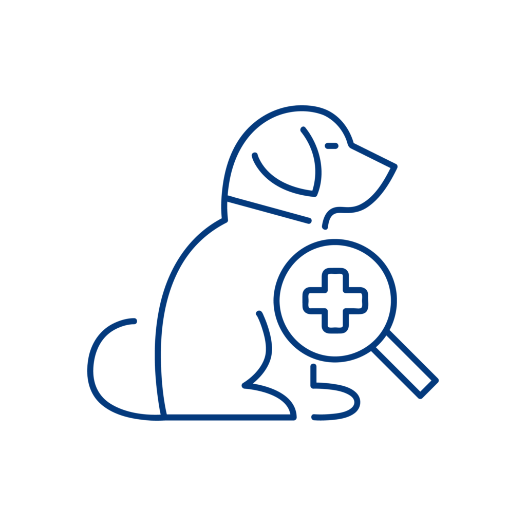 Icona illustrativa del servizio di dermatologia della Clinica Veterinaria Sant'Anna