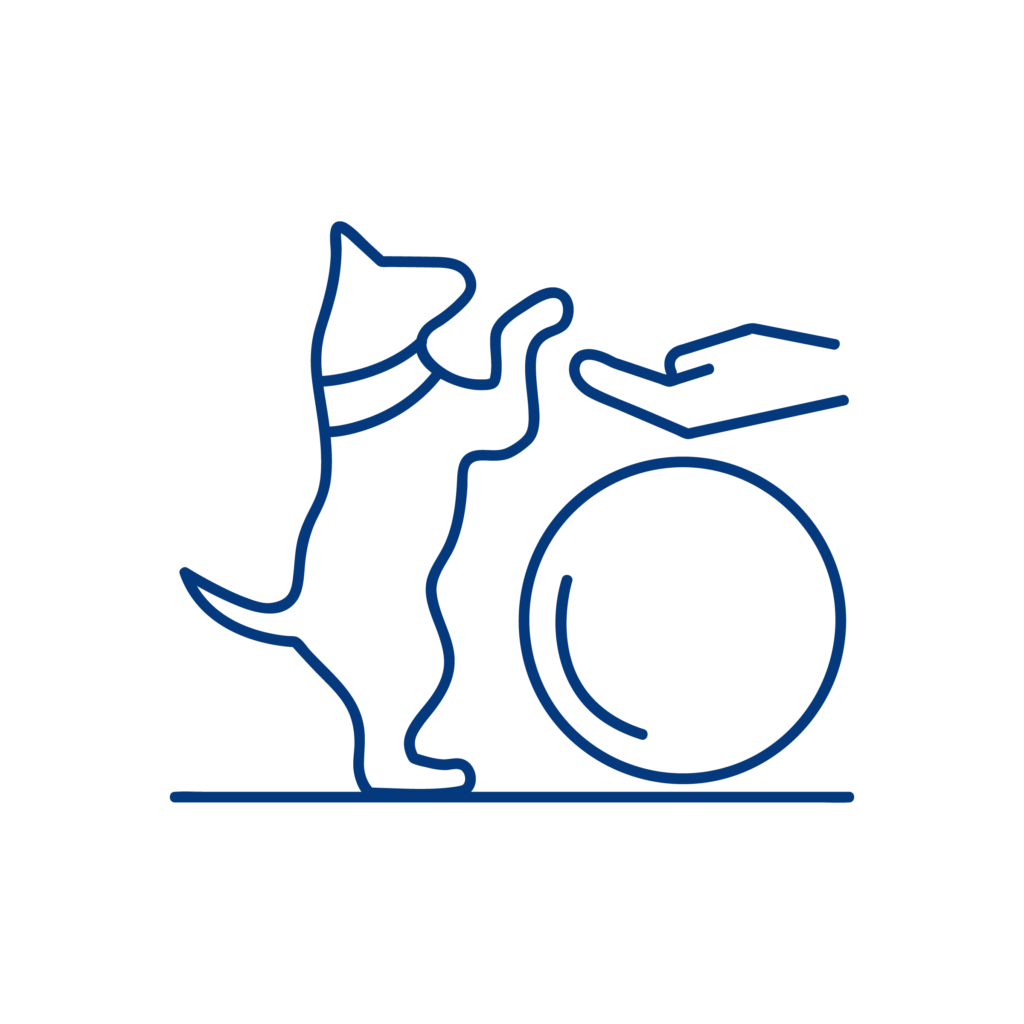 Icona illustrativa del servizio di fisioterapia della Clinica Veterinaria Sant'Anna