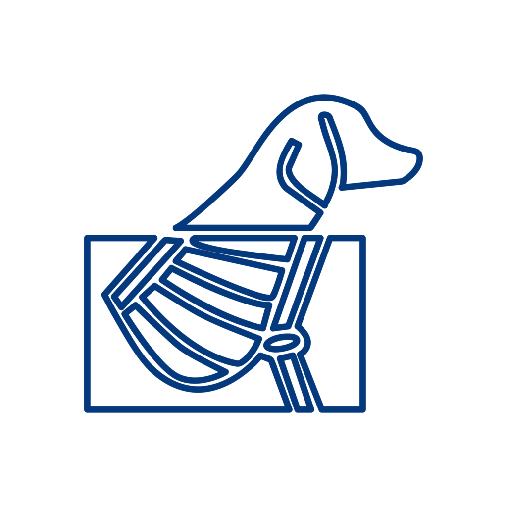 Icona illustrativa del servizio di radiologia della Clinica Veterinaria Sant'Anna